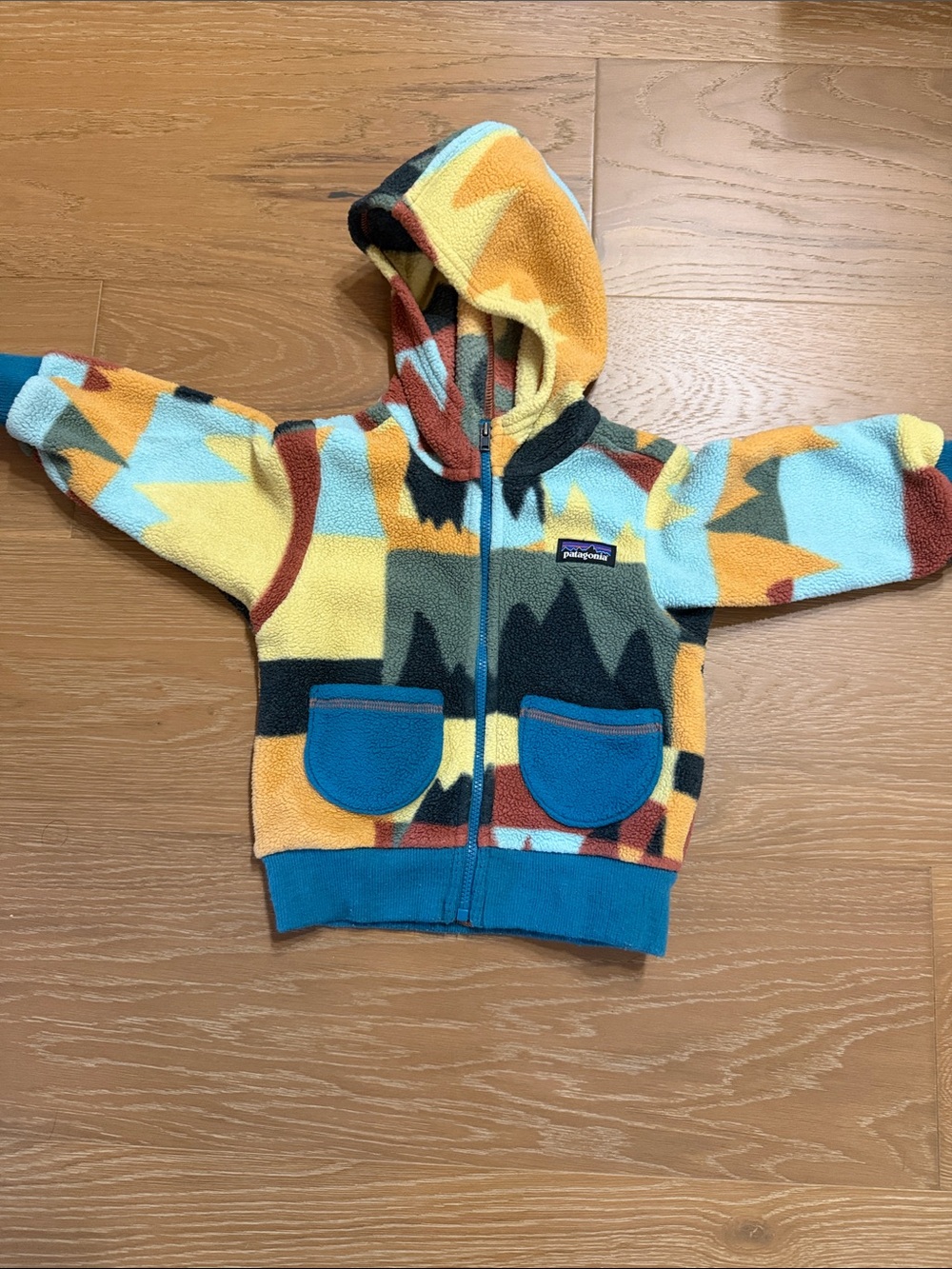 Patagonia Kids' Multicolor Fleece Zip Hoodie
